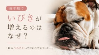 更年期でいびきが増えるのはなぜ？女性に起こる原因と対策