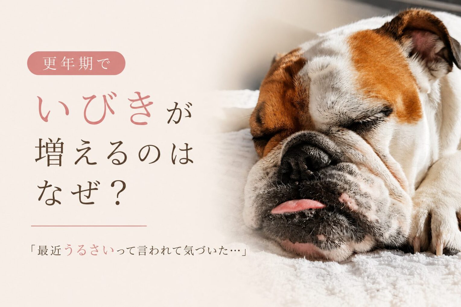 更年期でいびきが増えるのはなぜ？女性に起こる原因と対策