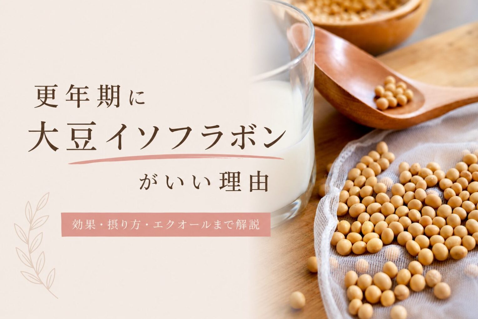 更年期に大豆イソフラボンがいい理由～効果・摂り方・エクオールまで解説