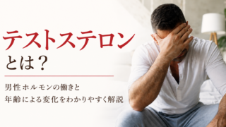 テストステロンとは?男性ホルモンの働きと年齢による変化をわかりやすく解説