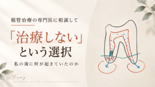根管治療の専門医に相談して「治療しない」という選択｜私の歯に何が起きていたのか